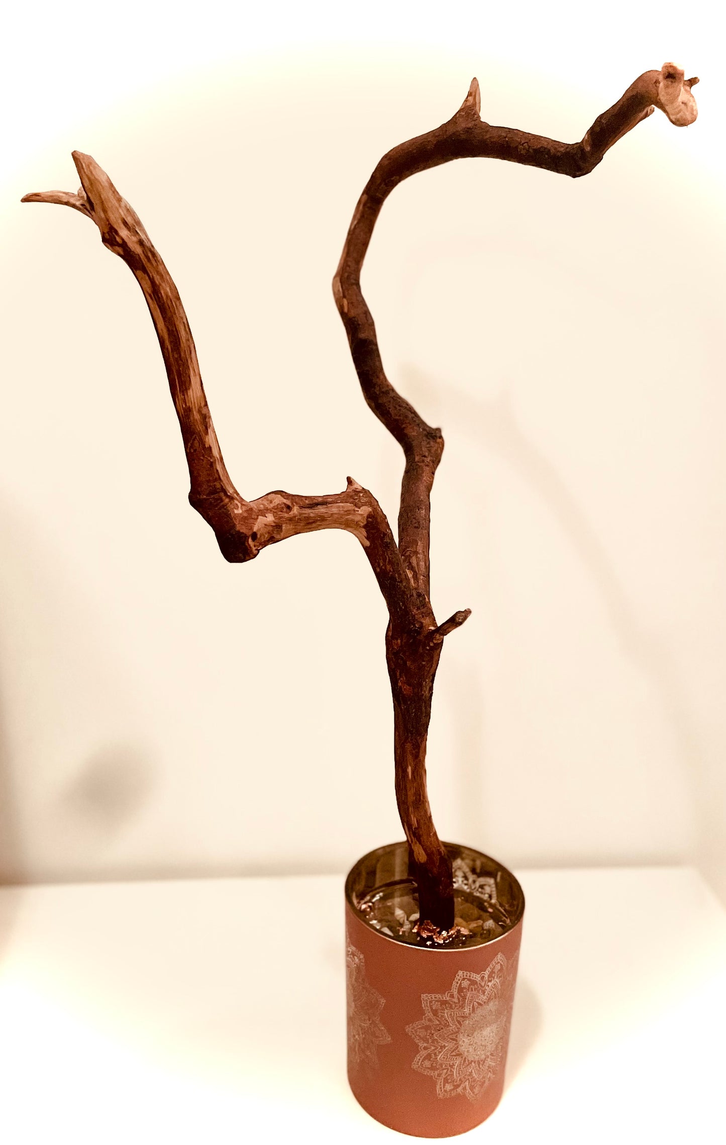 Support de branche en bois flotté Epoxi Art pour bijoux, décoration
