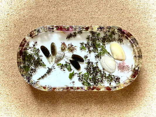 Epoxid Schale Libelle Muscheln Blüten
