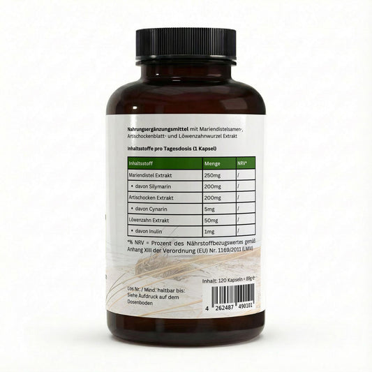 Mariendistel Artischocke und Löwenzahn