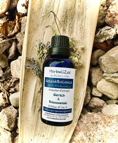 Herbalized Gelenk Balance Anti-Entzündung, Kräuterextrakt, 50ml
