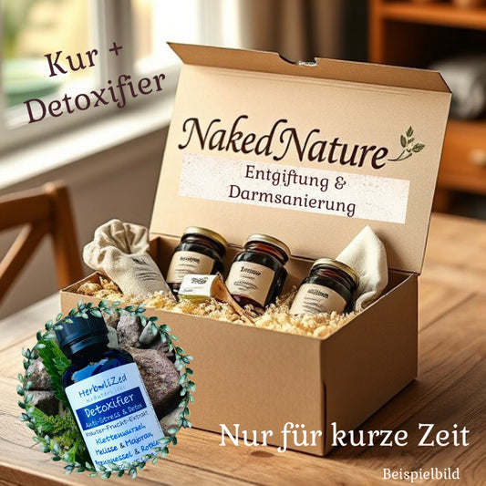 EasyBody detoxification treatment with intestinal cleansing + starter package