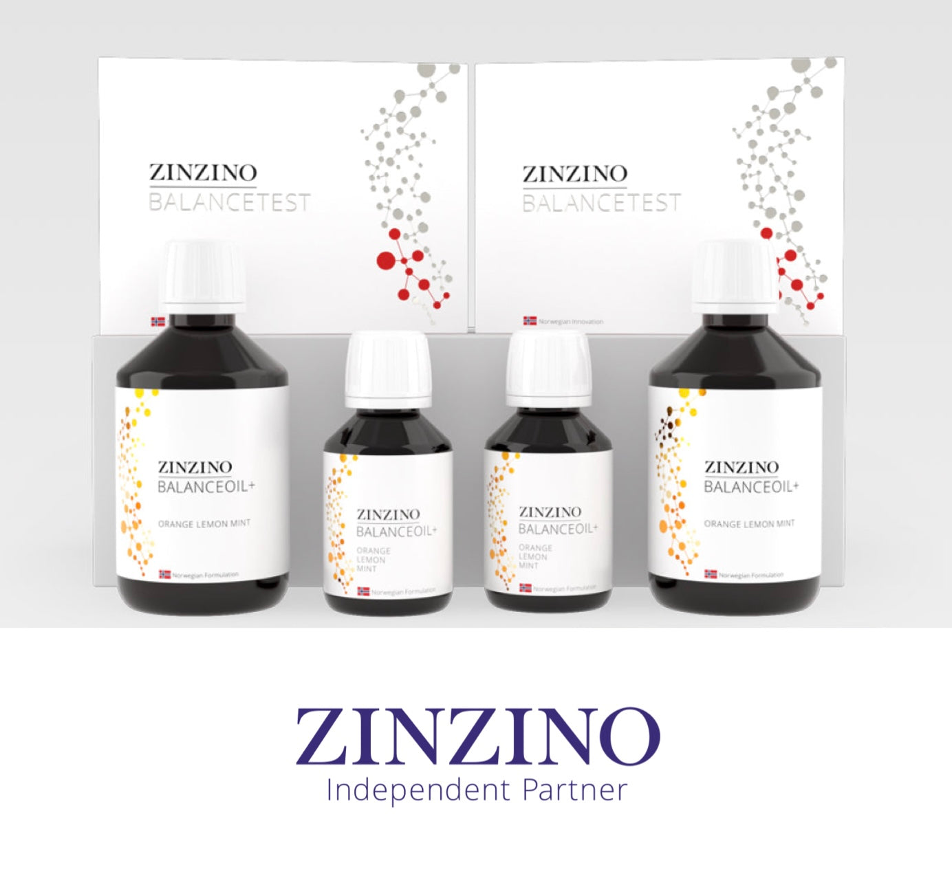 Balance Oil Kit