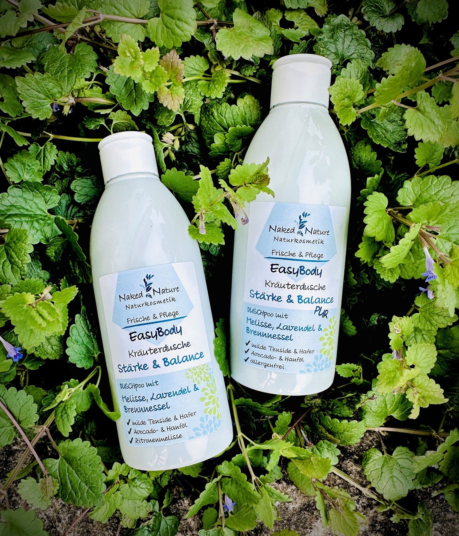 Natur Duschbad Kräuterdusche Melisse Lavendel Brennnessel