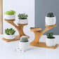 Bamboo stand with ceramic pots