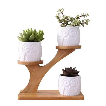 Bamboo stand with ceramic pots